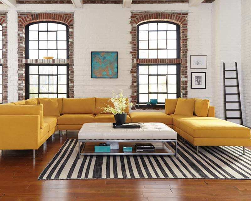 Jonathan Louis Remy Collection